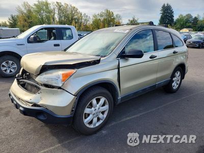 2009 HONDA CR-V EX 5J6RE48559L031671 - główne zdjęcie licytacji z USA - miniatura