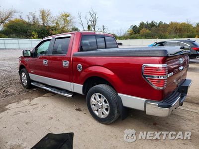 Drugie zdjęcie samochodu z przodu: 2013 FORD F150 SUPERCREW VIN:1FTFW1CT9DKG41713 - miniatura