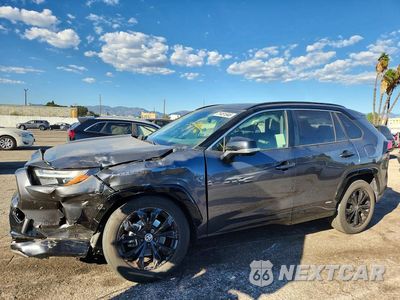 2023 TOYOTA RAV4 XSE JTME6RFV0PD545307 - główne zdjęcie licytacji z USA - miniatura