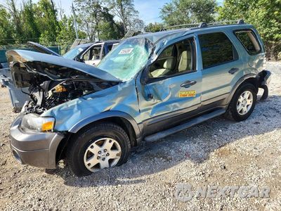 2006 FORD ESCAPE XLT 1FMYU93116KD04706 - główne zdjęcie licytacji z USA - miniatura