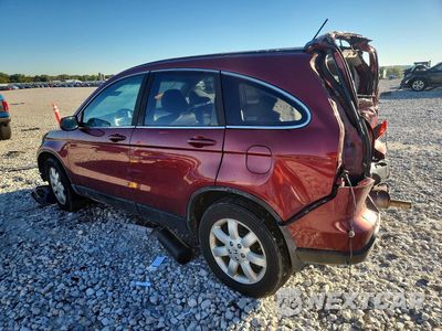 Drugie zdjęcie samochodu z przodu: 2009 HONDA CR-V EXL VIN:5J6RE48739L022145 - miniatura