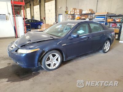 2005 ACURA TL 19UUA66205A021881 - główne zdjęcie licytacji z USA - miniatura