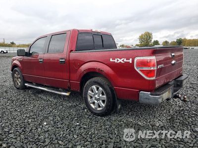 Drugie zdjęcie samochodu z przodu: 2013 FORD F150 SUPERCREW VIN:1FTFW1EF4DFD54182 - miniatura
