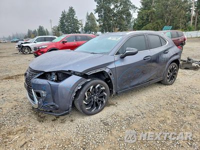 2023 LEXUS UX 250H PREMIUM JTHP9JBH5P2065985 - główne zdjęcie licytacji z USA - miniatura