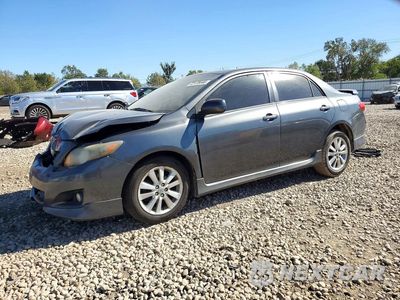 2010 TOYOTA COROLLA S 2T1BU4EE5AC471044 - główne zdjęcie licytacji z USA - miniatura