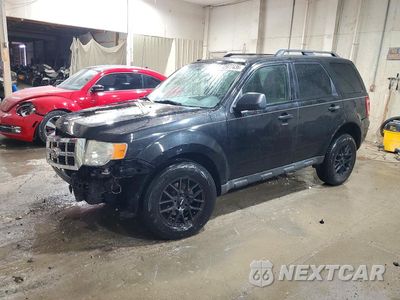2011 FORD ESCAPE XLT 1FMCU9DGXBKA88006 - główne zdjęcie licytacji z USA - miniatura