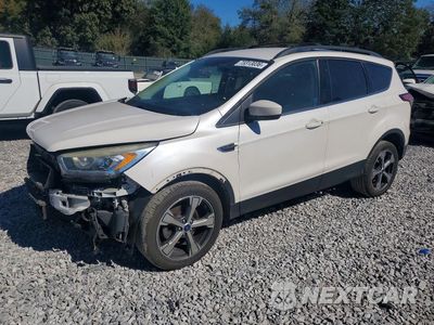 2017 FORD ESCAPE SE 1FMCU0GD5HUE51533 - główne zdjęcie licytacji z USA - miniatura
