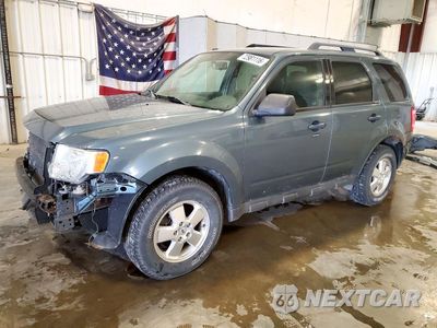 2011 FORD ESCAPE XLT 1FMCU9DGXBKB53095 - główne zdjęcie licytacji z USA - miniatura