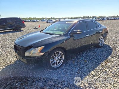 2009 NISSAN MAXIMA 3.5 S 1N4AA51E39C856399 - główne zdjęcie licytacji z USA - miniatura
