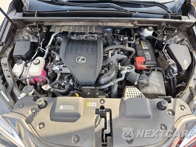 Zdjęcie 12 z 13 samochodu: 2022 LEXUS NX 350 VIN:JTJKGCEZ2N5002000 - miniatura