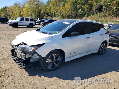 2019 NISSAN LEAF SV 1N4AZ1CP0KC302825 - główne zdjęcie licytacji z USA - miniatura