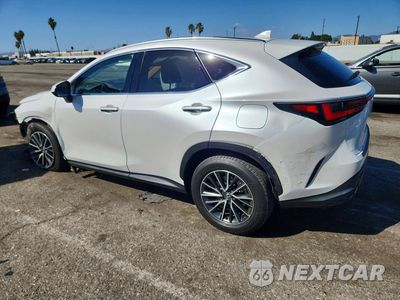 Drugie zdjęcie samochodu z przodu: 2024 LEXUS NX 350 PREMIUM VIN:JTJGGCEZ9R5007092 - miniatura