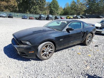 2014 FORD MUSTANG GT 1ZVBP8CF1E5297953 - główne zdjęcie licytacji z USA - miniatura