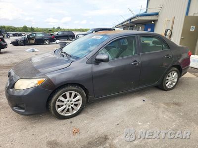 2010 TOYOTA COROLLA LE 2T1BU4EE3AC400148 - główne zdjęcie licytacji z USA - miniatura