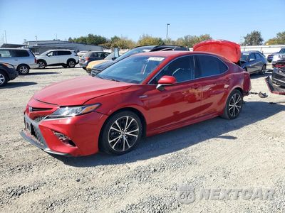2020 TOYOTA CAMRY SE 4T1G31AK1LU013649 - główne zdjęcie licytacji z USA - miniatura