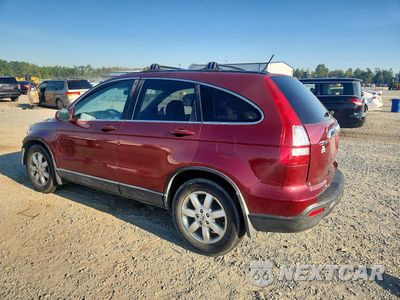 Drugie zdjęcie samochodu z przodu: 2007 HONDA CR-V EXL VIN:JHLRE48777C048768 - miniatura
