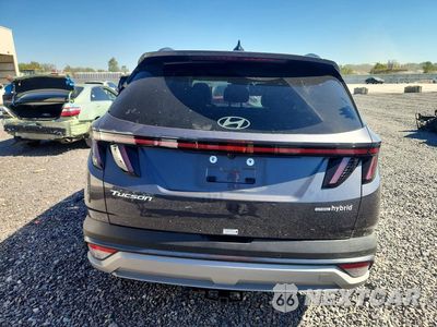Zdjęcie 6 z 13 samochodu: 2025 HYUNDAI TUCSON LIMITED VIN:KM8JEDD18SU391051 - miniatura