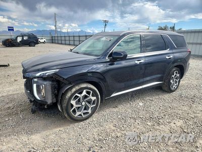 2021 HYUNDAI PALISADE CALLIGRAPHY KM8R7DHE3MU298841 - główne zdjęcie licytacji z USA - miniatura