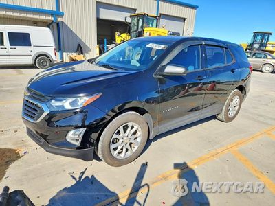 2019 CHEVROLET EQUINOX LS 2GNAXHEV3K6225999 - główne zdjęcie licytacji z USA - miniatura