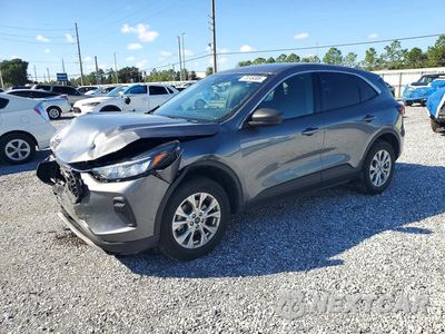 2024 FORD ESCAPE ACTIVE 1FMCU9GN1RUA73905 - główne zdjęcie licytacji z USA - miniatura