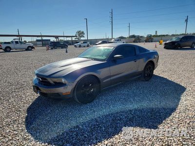 2011 FORD MUSTANG V6 COUPE 1ZVBP8AM4B5115692 - główne zdjęcie licytacji z USA - miniatura