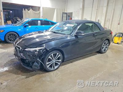 2018 BMW 230XI WBA2K1C52JVD41338 - główne zdjęcie licytacji z USA - miniatura
