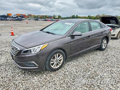 2015 HYUNDAI SONATA SE 5NPE24AF1FH255794 - główne zdjęcie licytacji z USA - miniatura