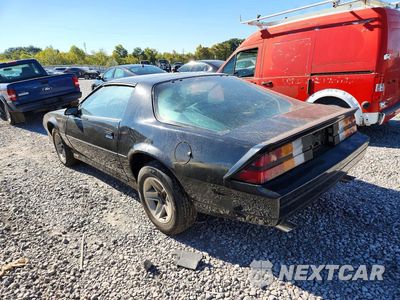 Drugie zdjęcie samochodu z przodu: 1984 CHEVROLET CAMARO VIN:1G1AP87G6EL182948 - miniatura