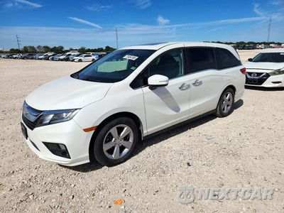 2019 HONDA ODYSSEY EXL 5FNRL6H72KB114413 - główne zdjęcie licytacji z USA - miniatura