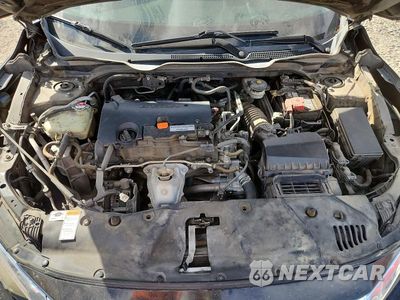 Zdjęcie 11 z 12 samochodu: 2016 HONDA CIVIC LX VIN:2HGFC2F55GH546395 - miniatura