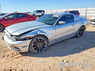 2013 FORD MUSTANG GT 1ZVBP8CF4D5216815 - główne zdjęcie licytacji z USA - miniatura