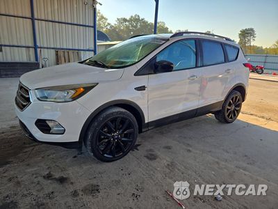 2019 FORD ESCAPE SE 1FMCU9GDXKUA58851 - główne zdjęcie licytacji z USA - miniatura