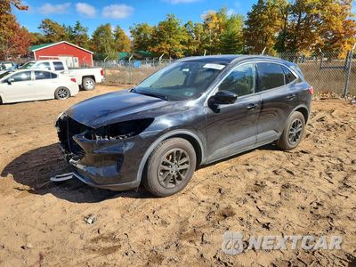 2020 FORD ESCAPE SE 1FMCU0G64LUC19869 - główne zdjęcie licytacji z USA - miniatura