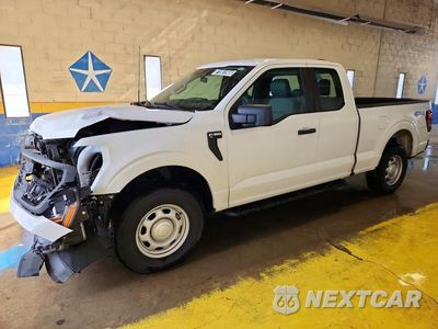 2024 FORD F150 XL 1FTEX1LP6RKD38469 - główne zdjęcie licytacji z USA - miniatura