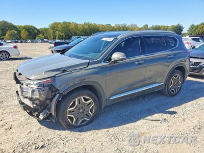 2023 HYUNDAI SANTA FE SEL PREMIUM 5NMS3DA15PH018812 - główne zdjęcie licytacji z USA - miniatura