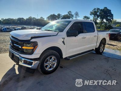 2024 FORD F150 XLT 1FTFW3L58RKE28112 - główne zdjęcie licytacji z USA - miniatura