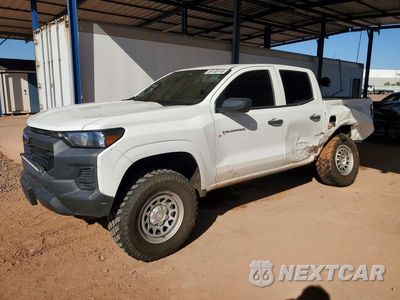 2024 CHEVROLET COLORADO 1GCPTBEK7R1137780 - główne zdjęcie licytacji z USA - miniatura