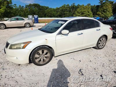 2008 HONDA ACCORD EX-L-V6 1HGCP36838A041866 - główne zdjęcie licytacji z USA - miniatura