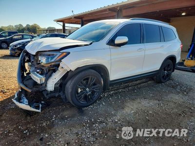 2021 HONDA PILOT SE 5FNYF6H22MB040842 - główne zdjęcie licytacji z USA - miniatura