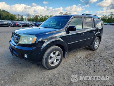 2010 HONDA PILOT EXL 5FNYF4H51AB019751 - główne zdjęcie licytacji z USA - miniatura