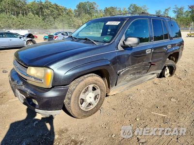 2003 CHEVROLET TRAILBLAZER 1GNDT13SX32405794 - główne zdjęcie licytacji z USA - miniatura