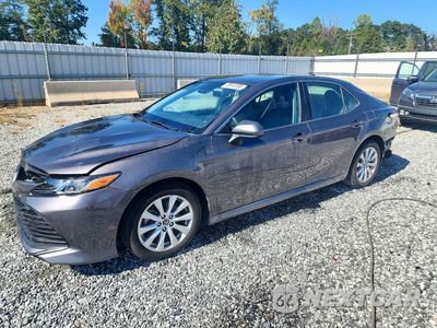 2019 TOYOTA CAMRY LE 4T1B11HK7KU194146 - główne zdjęcie licytacji z USA - miniatura