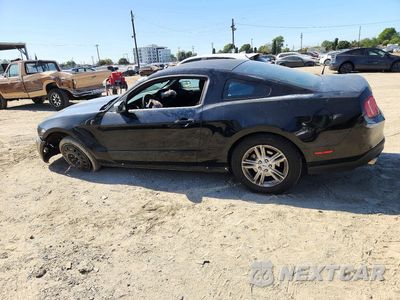 Drugie zdjęcie samochodu z przodu: 2012 FORD MUSTANG VIN:1ZVBP8AM6C5254336 - miniatura