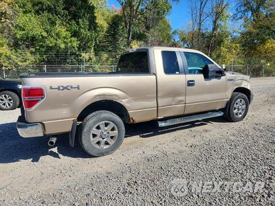 Trzecie zdjęcie samochodu z tyłu: 2013 FORD F150 SUPER CAB VIN:1FTFX1EF9DFC78066 - miniatura