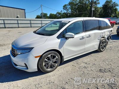 2024 HONDA ODYSSEY ELITE 5FNRL6H94RB063136 - główne zdjęcie licytacji z USA - miniatura