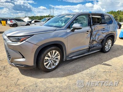 2025 TOYOTA GRAND HIGHLANDER PLATINUM 5TDAAAB59SS083623 - główne zdjęcie licytacji z USA - miniatura