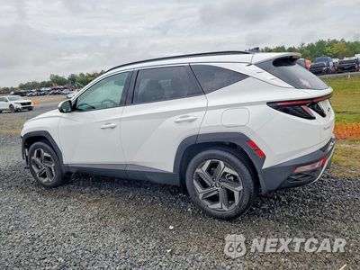 Drugie zdjęcie samochodu z przodu: 2024 HYUNDAI TUCSON LIMITED VIN:5NMJECDE2RH371395 - miniatura