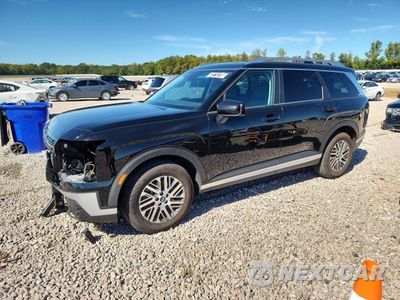 2026 HYUNDAI PALISADE SEL KM8RL5S28TU098715 - główne zdjęcie licytacji z USA - miniatura