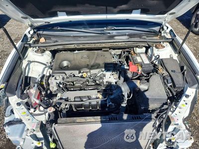 Zdjęcie 11 z 12 samochodu: 2020 TOYOTA CAMRY LE VIN:4T1C11BK8LU017023 - miniatura