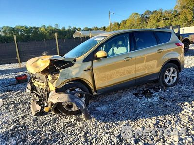 2014 FORD ESCAPE SE 1FMCU0GX5EUD30538 - główne zdjęcie licytacji z USA - miniatura